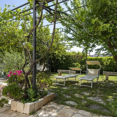 Salinola 3 Ostuni