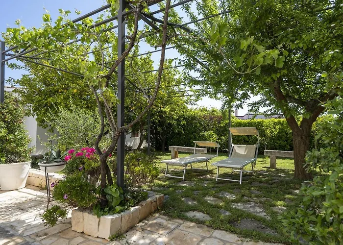 Salinola 3 오스투니